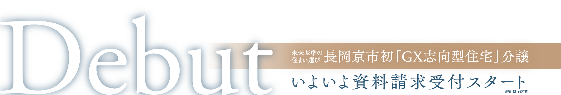 いよいよ資料請求受付スタート